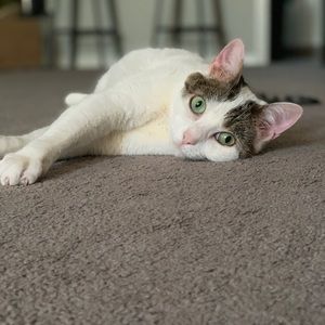 Meet your Posher, Jeanette